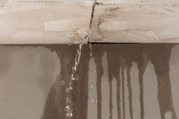 Professional Water Damage Repair technician working in Blessing, TX
